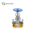 Casting iron standard Electric control valve globe valve